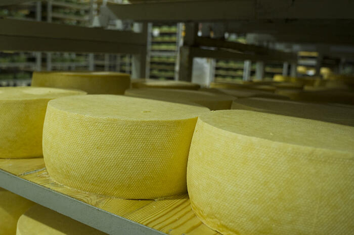 Automation cheese production line in Uzbekistan