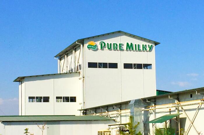 Automation cheese production line in Uzbekistan