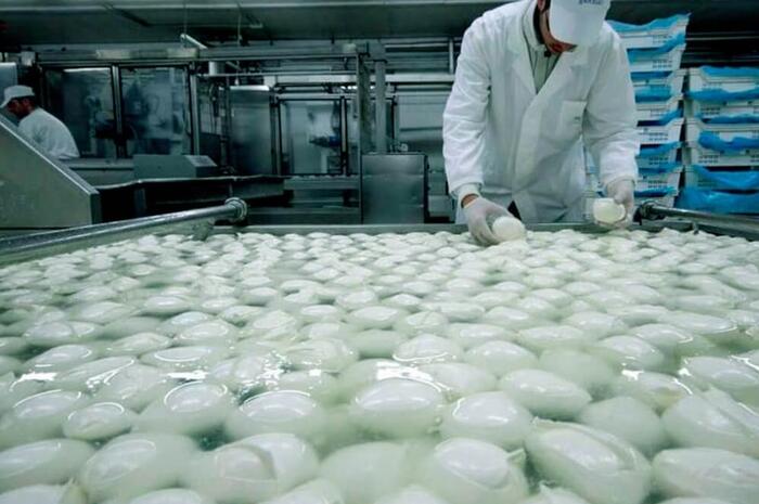 ACS for a workshop for the production of dairy products of a wide range