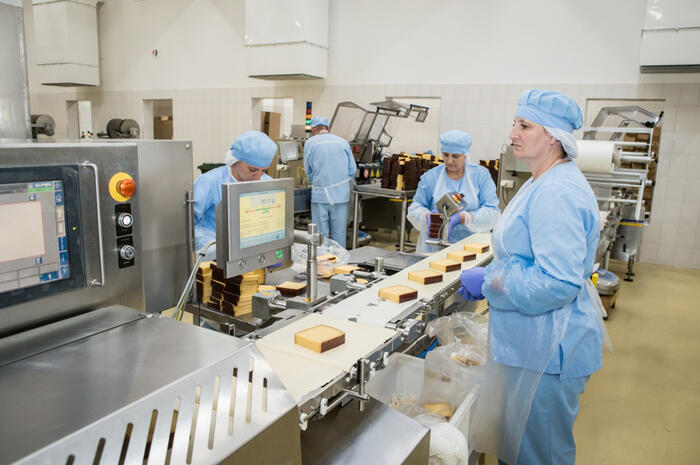 Automated cheese production line, Altai Territory