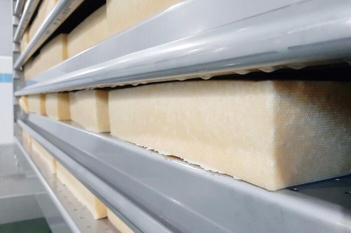 Automated cheese production line, Altai Territory