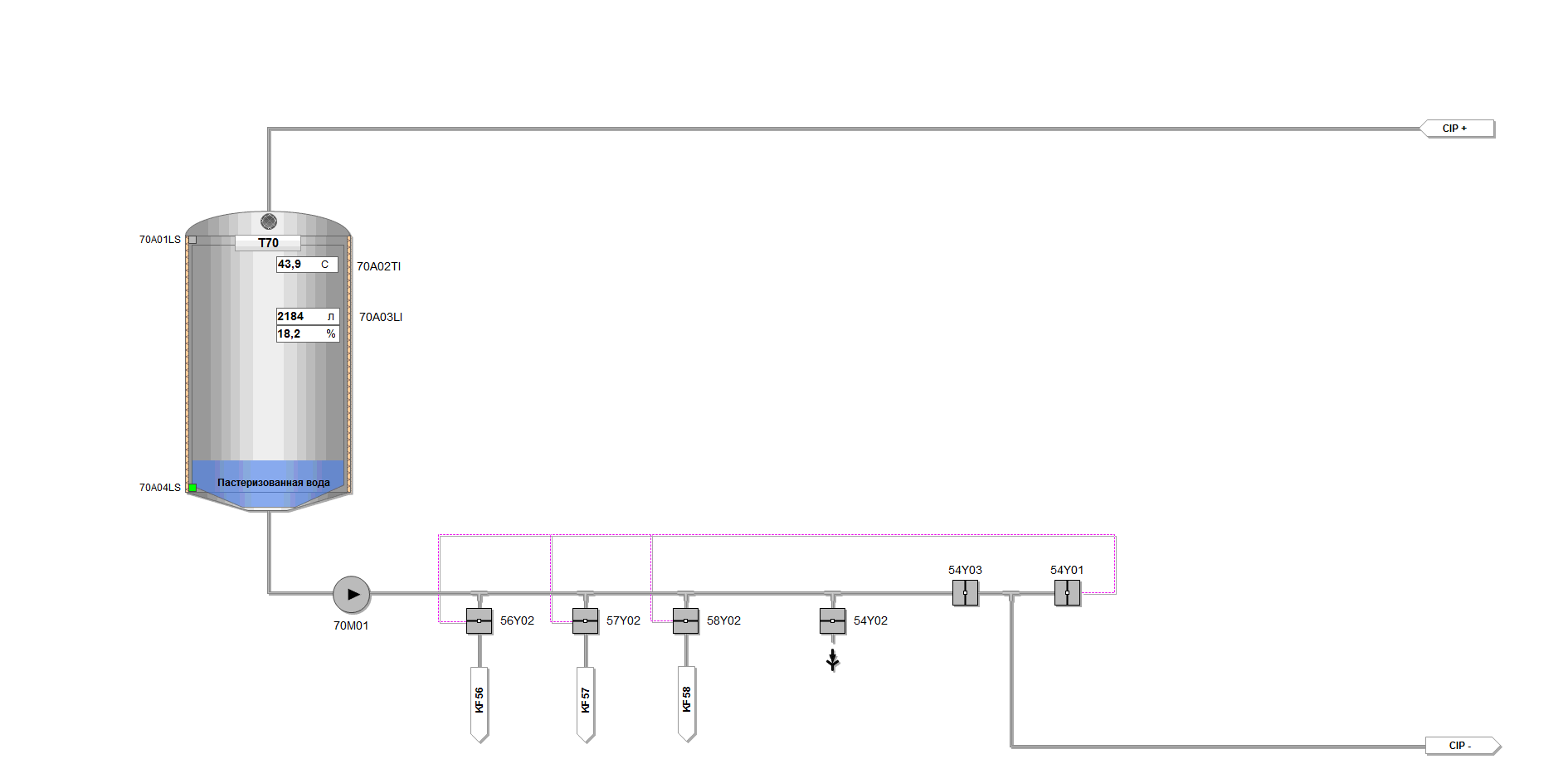 Automation cheese production line in Uzbekistan